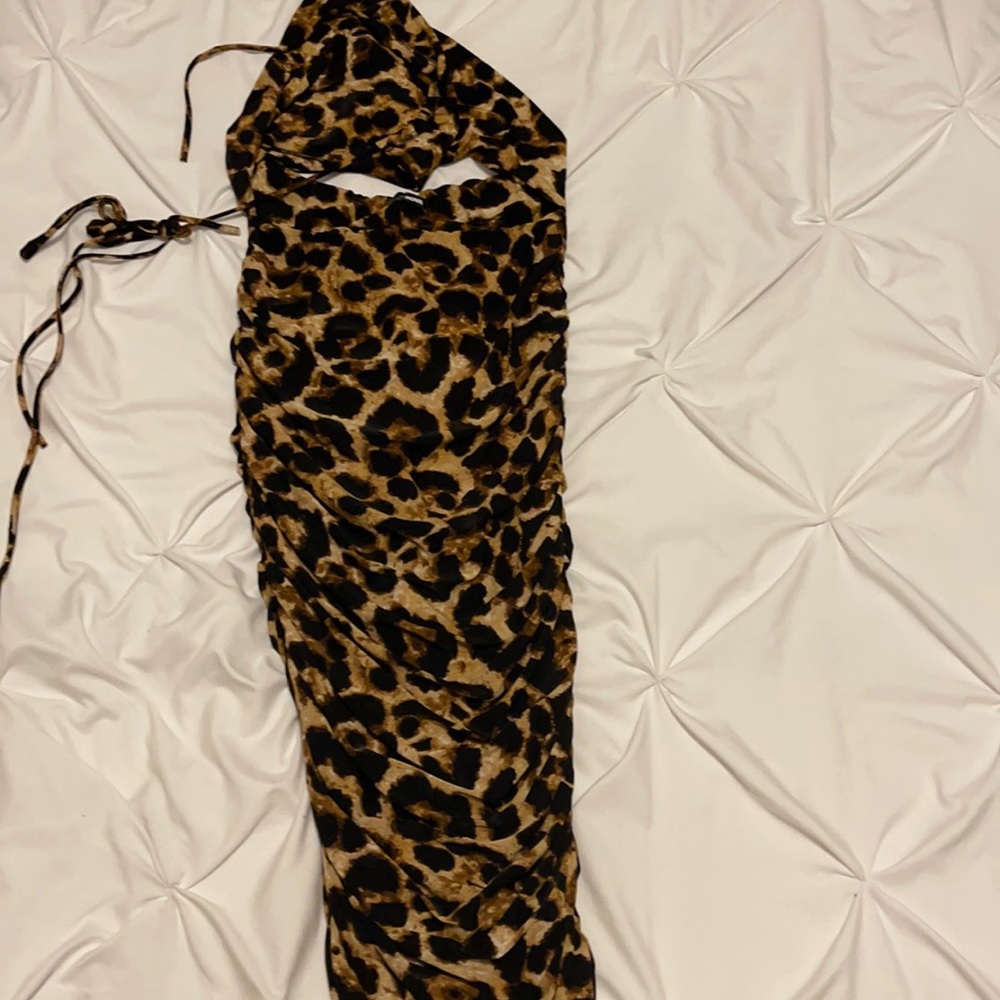 Leopard